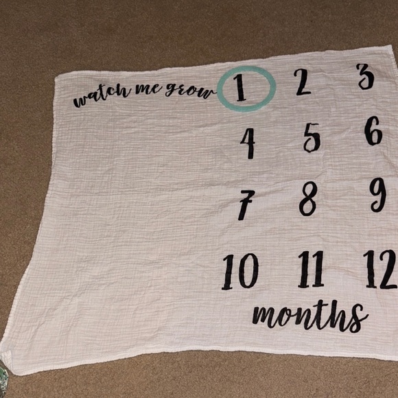 Monthly Picture Blanket - Picture 1 of 1